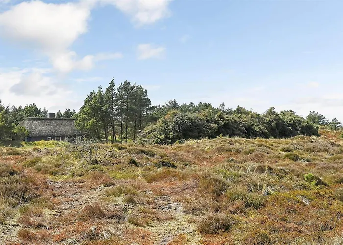 Semesterbostad Bv417-blavand-nordslugen-5